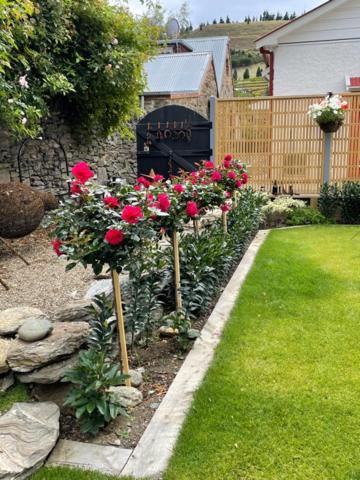 Miners Lane Guest House Clyde Exteriör bild